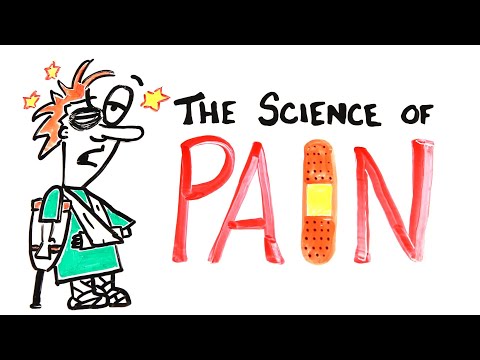 Understanding The Neuroscience of Pain