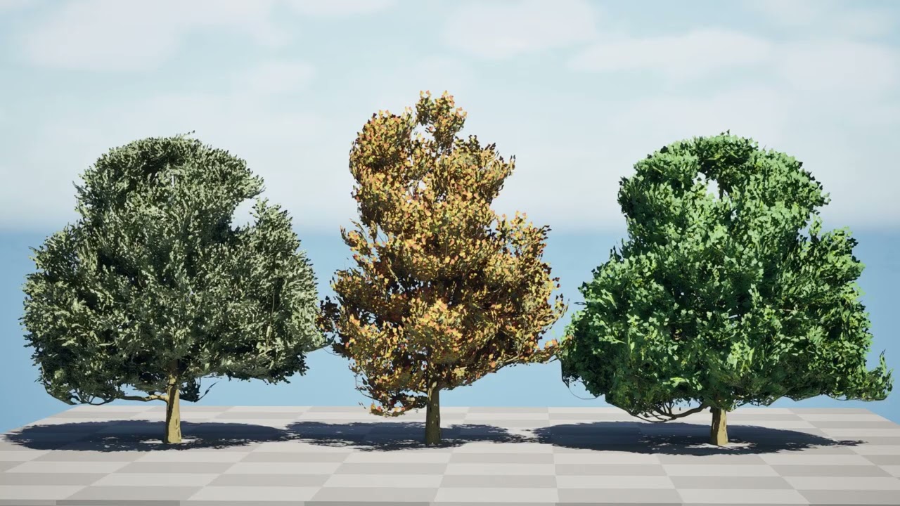 फ्लेमिश लिंडन वृक्ष 3D मॉडल