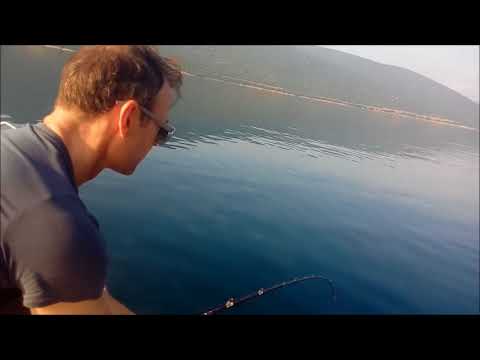 H XAΡΑ ΤΟΥ ΠΡΩΤΟΥ ΨΑΡΙΟΥ ΕΙΝΑΙ ΑΞΕΧΑΣΤΗ