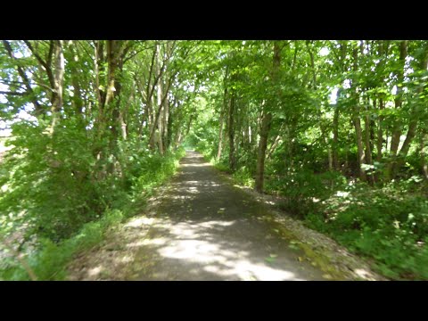 Bicycle Diaries: Exploring the Countryside of Mettmann, Germany