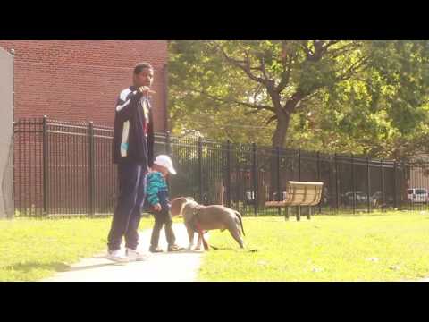 Gunna Raw-Jet Life (Official Video)