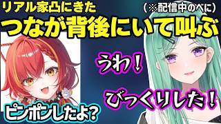 リアル家凸にきたつなが背後にいて驚愕するべに、ぶいすぽ新人デビュー（サイネ、ちせ）について触れるべに【八雲べに/猫汰つな/龍巻ちせ/銀城サイネ/ぶいすぽ】