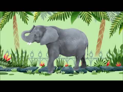 shakka-walking with elephants-tiger remix