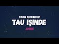 Dimash Qudaibergen TAU ISHINDE Official Teaser