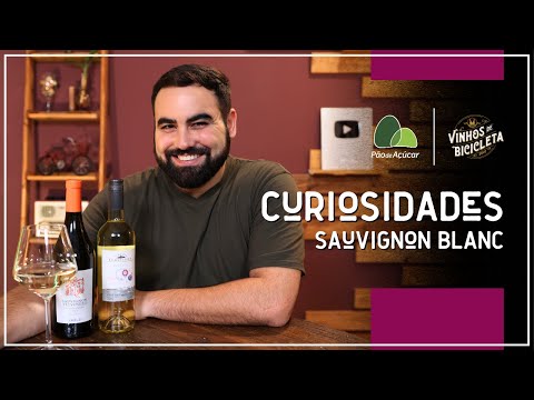 SAUVIGNON BLANC WINE AND ITS CURIOSITIES