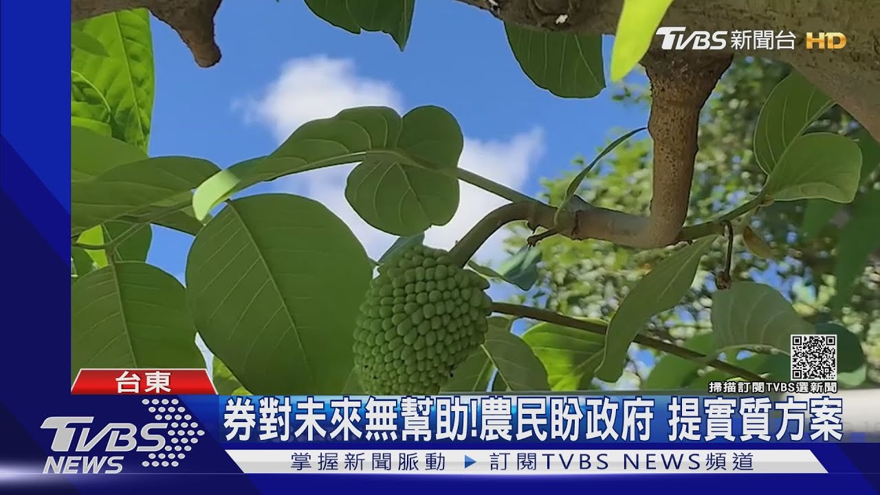 發「釋迦券」!1年60億產值 饒慶鈴提3訴求