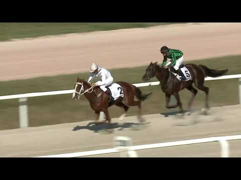 2023.09.10. 7. Futam - DANCING CANDLE HENDIKEP (V/b.) (szintetikus pálya)