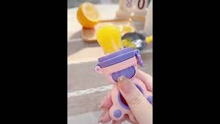 Silicone Baby fruit feeder Teething fruit Nibbler Pacifier