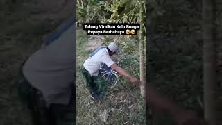 Download lagu Kangen Band - Yang Aku Tahu ( lagu paling sedih sampai saat ini ) mp3