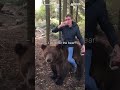 A Russian drinks vodka riding a bear #shorts