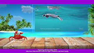 Jelly Bean Cruise 2019 Promo