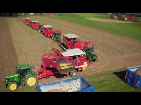 Kartoffelernte Lohnunternehmen Guggisberg Zimmerwald