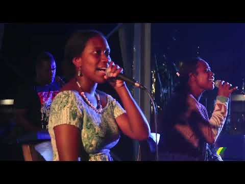 To Love Somebody   Bee Gees Reggae Cover by P O V Band 💙💛💚