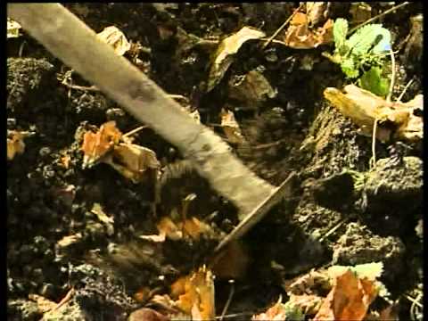 STOPY DÁVNEJ MINULOSTI - Otvorené oči (1/2)