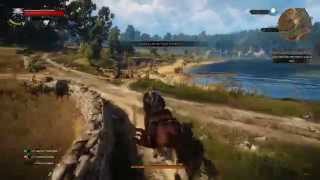 The Witcher 3: Wild Hunt - Hearts of stone DLC Racing Bug