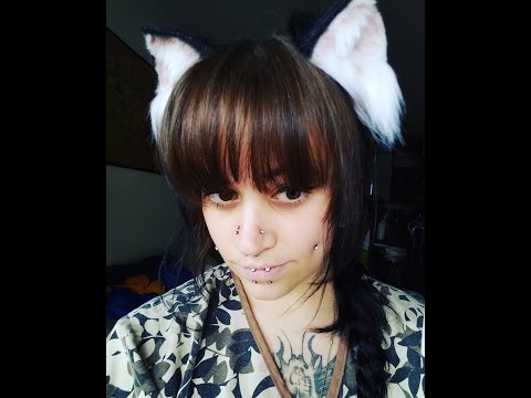 download lagu mp3 mp4 Kittens And Honey, download lagu Kittens And Honey gratis, unduh video klip Kittens And Honey