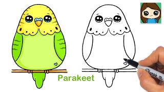 How to Draw a Parakeet