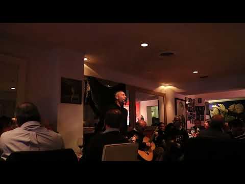 João Carita   Fado Margaridas Vestido roto