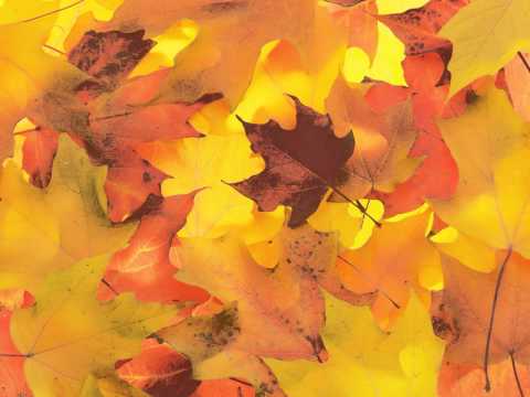 Agesilao Francisco Ferrazzano.  Horas que pasan.  1927.