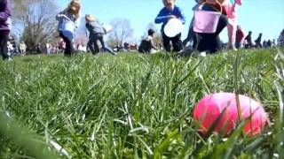 preview picture of video 'Easter egg hunt: An egg's perspective'
