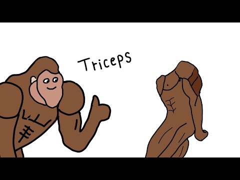 How To Get Big Triceps Explained By Ape