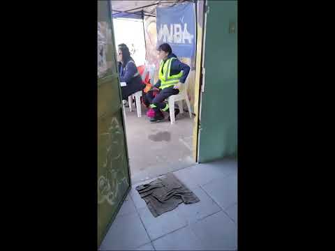 Spaying Campaign-Uruguay Dogs Overpopulation