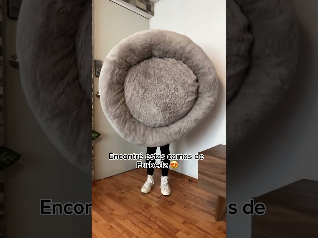 Vídeo relacionado con Tapete de cama para perros y gatos góticos de tarot negro y dorado, suave, cómodo, antideslizante, para perros grandes, jumbo, medianos y pequeños, 24 x 18 pulgadas