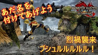 #37【ゆっくり実況：烈禍襲来・ガラムゴルム】君のあだ名はビッグホーン【Steam版サンブレイク】