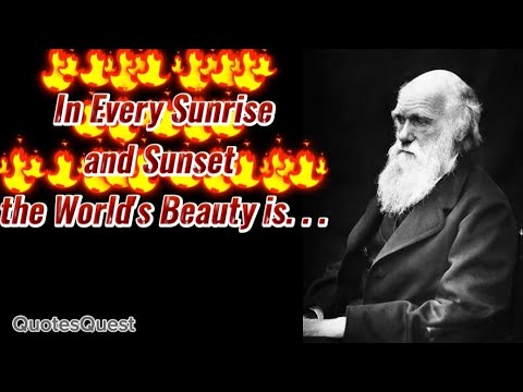 In Every Sunrise and Sunset, the World's 🌎 Beauty is .  #quotes #youtube #inspiration #quoteoftheday
