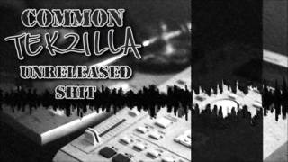 Common - Tekzilla - Prod Hi-Tek