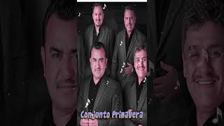 Te Lloré - Conjunto Primavera