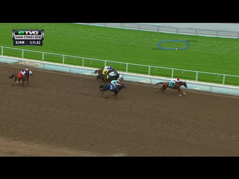 RACE REPLAY: 2016 Sham Stakes