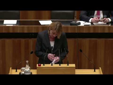 Dagmar Belakowitsch-Jenewein - Sozialbericht 2013/2014 - 25.2.2015