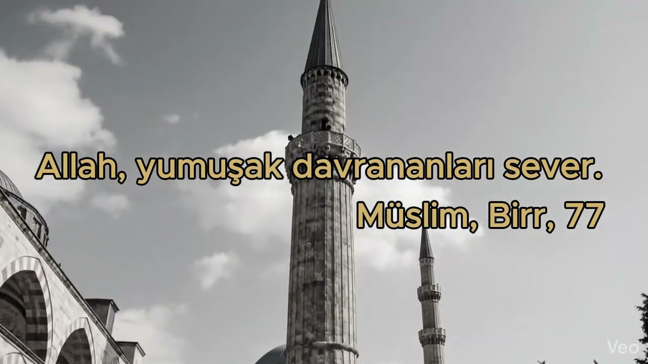 Allah Yumuşak Davrananları Sever