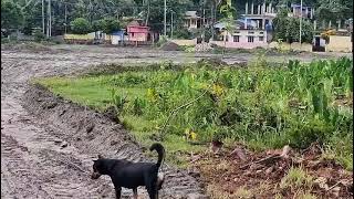 School Ground