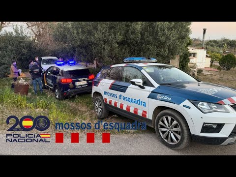 Resuelven 20 años después un crimen en Reus: detienen a una mujer por el asesinato de su expareja