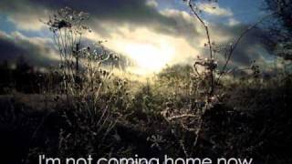 Rev Theory, Broken Bones