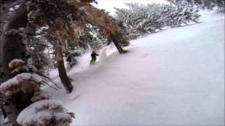 preview picture of video 'Sleeper Pow Day At Alta'