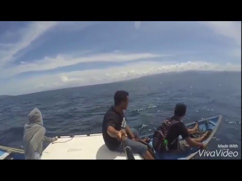 jivaz mc my trip to pasi mare-moti