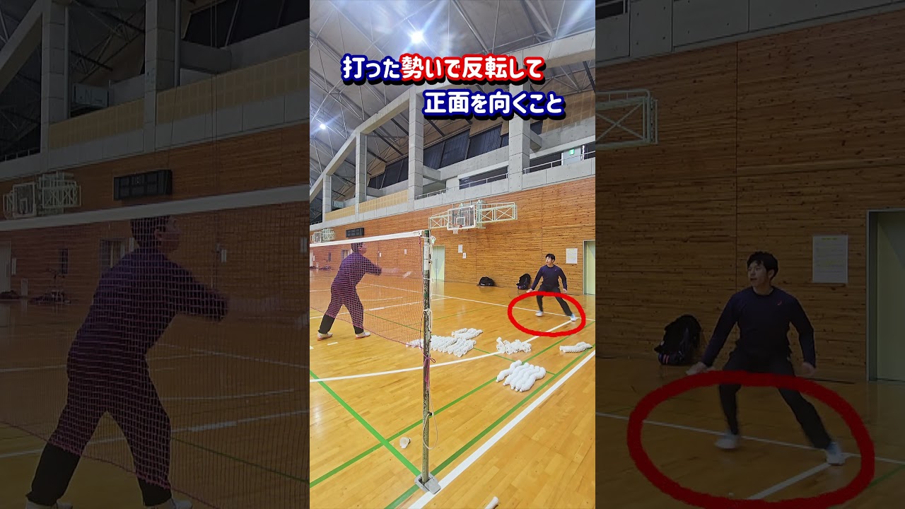 周りと差がつくノック練習 【攻撃強化】ドライブ&3点ノック #バドミントン #シングルス #ドライブ  #ノック  #初心者  #ダブルス #フットワーク #ずんだもん