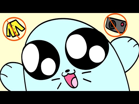 Video thumbnail for Lazy Harp Seal Has No Job