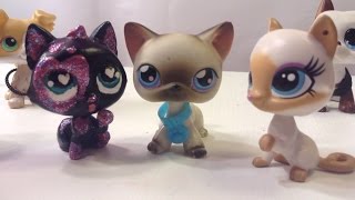 Littlest Pet Shop: Demon Eyes (Episode #2: New guy and first day)