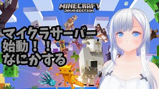 【#Minecraft(マインクラフト)】マイクラサーバー始動！なにかをする【コドクライブ／一身アロン（ガイノイド[Gynoid]Vtuber）】