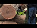 Lee Running Poulan 5200 In Big Wood At The Cutting Edge 2019 GTG