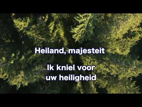 OPwekking 659 Jezus, stralend Licht