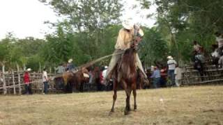 preview picture of video 'Rodeo  en Haiti Mejia de El seibo,Rep.Dominicana 1'