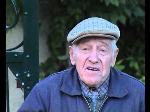 Lo rainald e lo perdigal