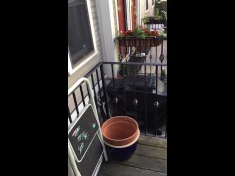 For sale in Charlestown - 42 Elm Street