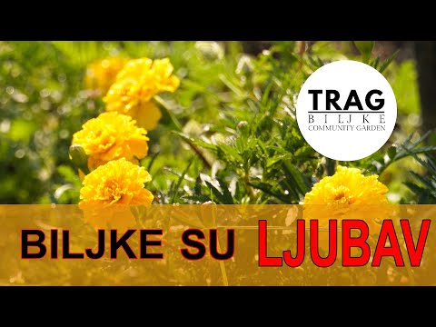 BILJKE SU LJUBAV (2021) [TRAG BILJKE]