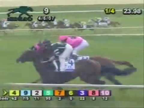 Marcavelly Wins Central Bank of Transylvania Stakes - Kahraman Stud